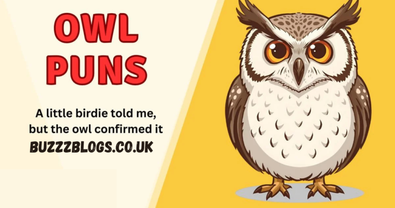 owl puns