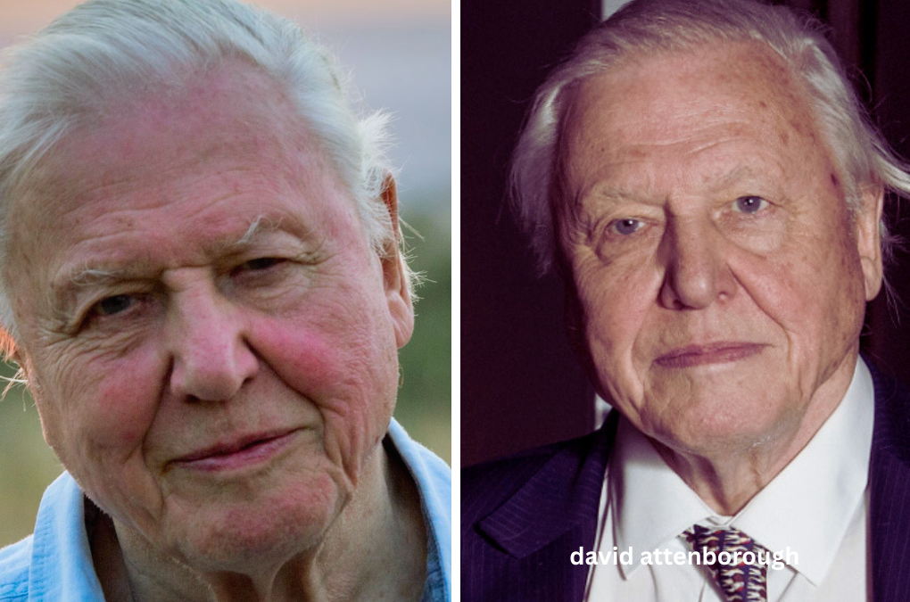 David Attenborough