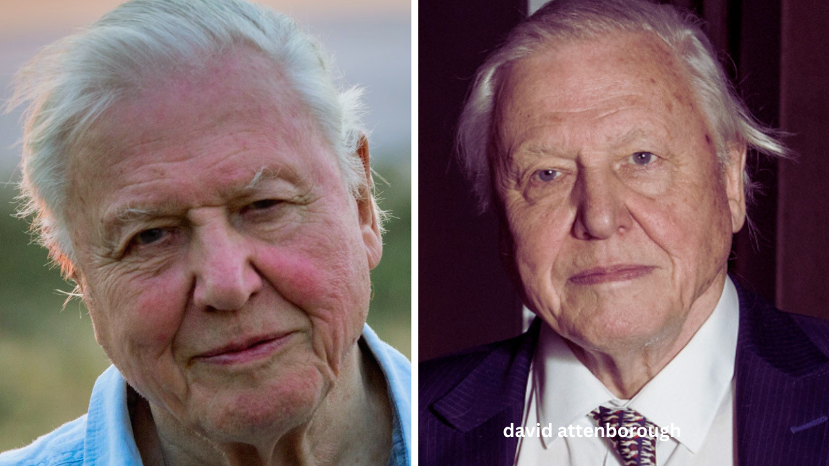 David Attenborough