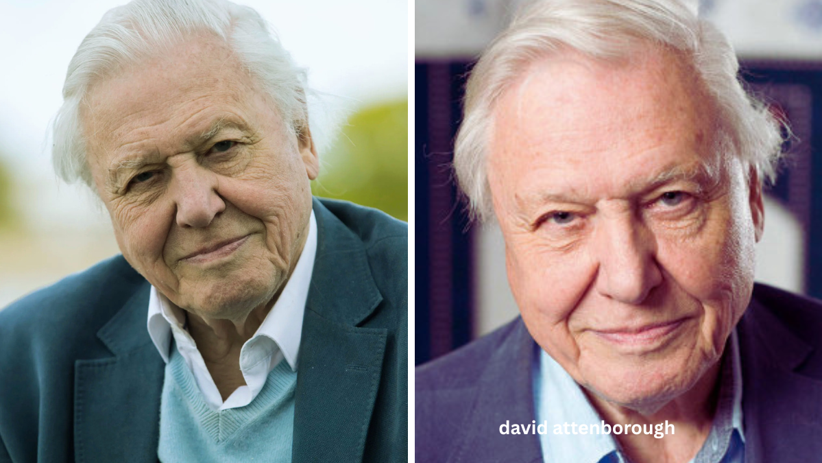 David Attenborough