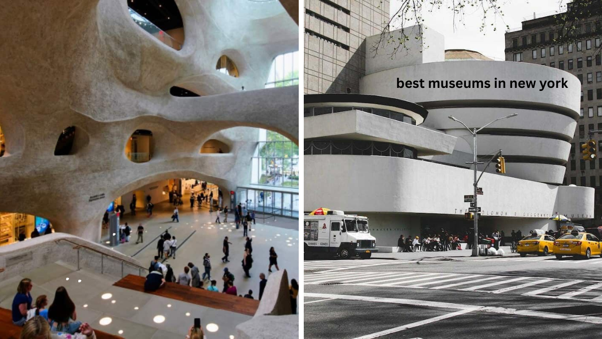 Best Museums in New York Best Museums in New York